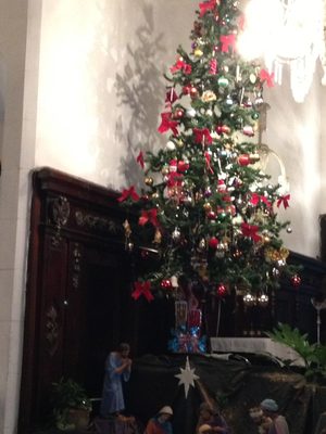 Most trees were artificial.